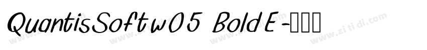 QuantisSoftw05 BoldE字体转换